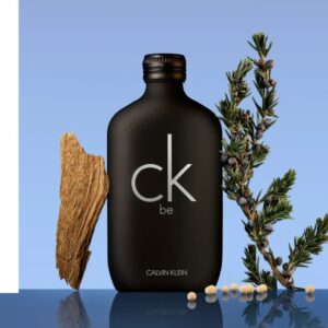 Be CK Calvin Klein Eau de Toilette - Perfume Unissex 200ml - Imagem 4