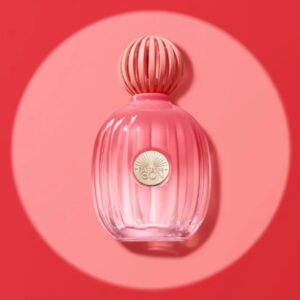 Conjunto The Icon Splendid Banderas Feminino - Eau de Parfum 100ml +  Desodorante Spray 150ml - Imagem 4